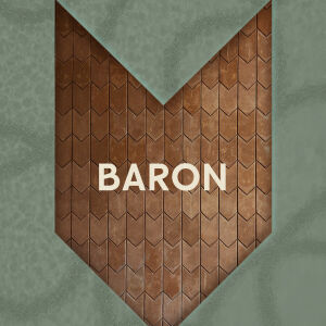 Flyer: BARON