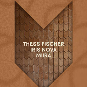 Flyer: DESA KITSUNE FRIDAY