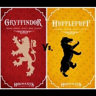 Quidditch Gryffindor VS Hufflepuff, Wednesday, February 19th, 2025