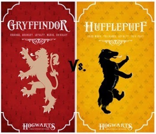 Flyer: Quidditch Gryffindor VS Hufflepuff