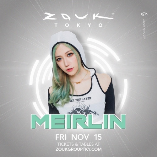 Flyer: MEIRLIN