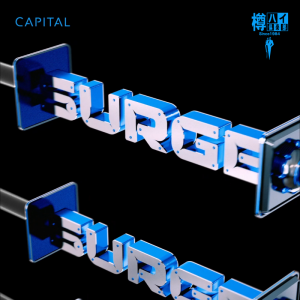 Flyer: Surge