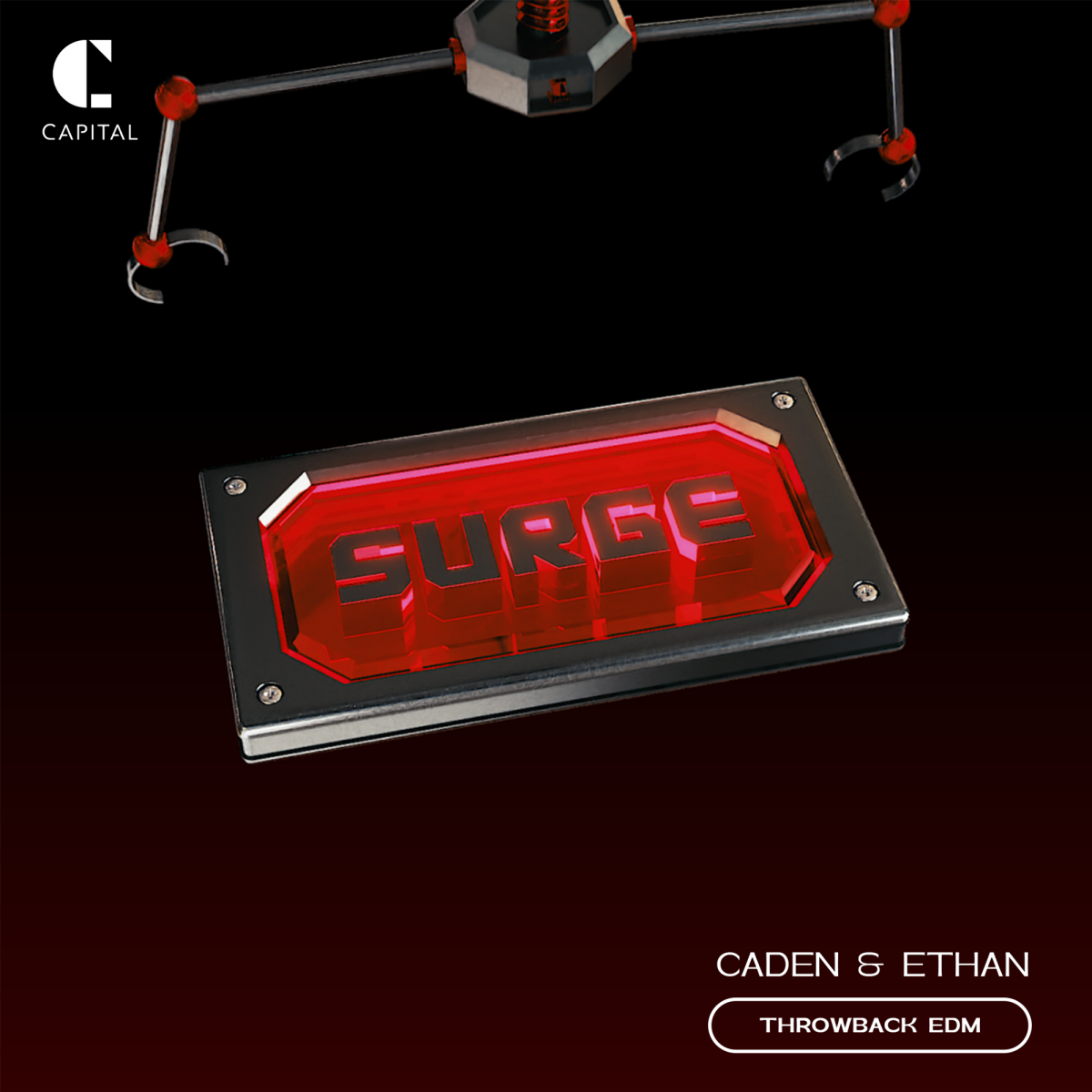 SURGE flyer