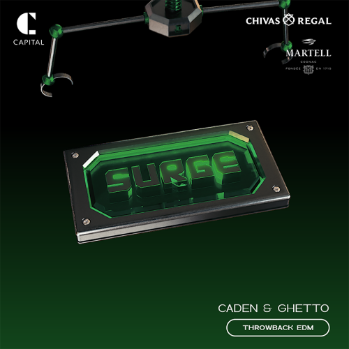 SURGE - Flyer
