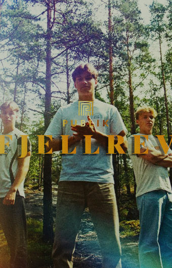 Fjellrev
