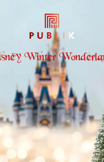 Disney Winter Wonderland
