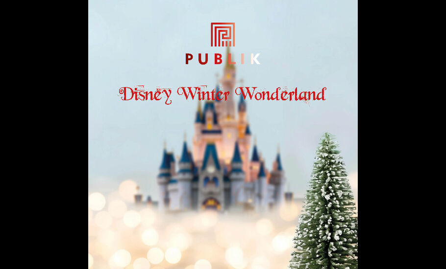 Disney Winter Wonderland