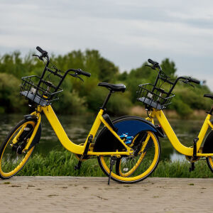 Flyer: Equipment Rentals