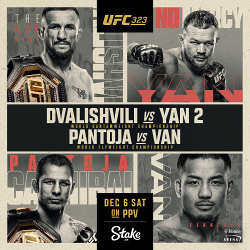 UFC 323 Watch Party - Flyer