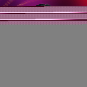 Flyer: Steve Aoki - Presidents Day Weekend