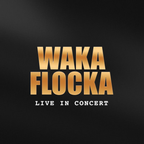 Waka Flocka - Flyer