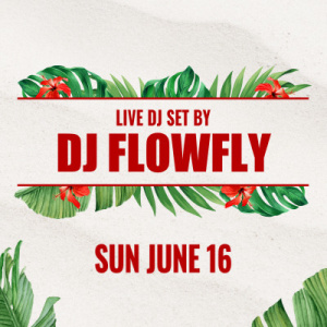 DJ FlowFly