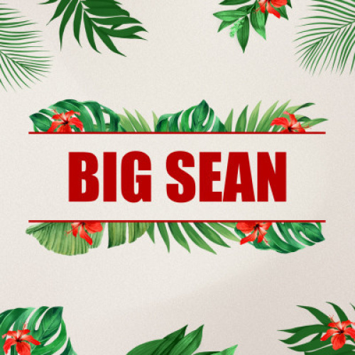 Big Sean - Flyer