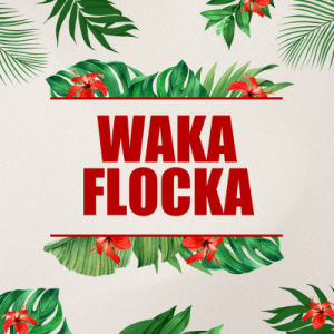 Flyer: Waka Flocka