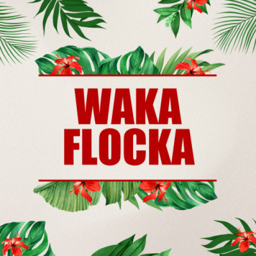 Waka Flocka - Flyer