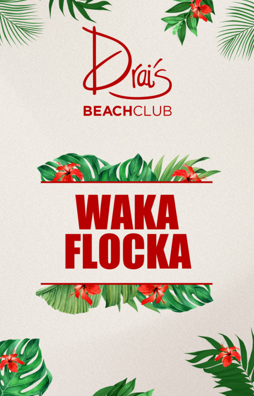 Waka Flocka - Flyer