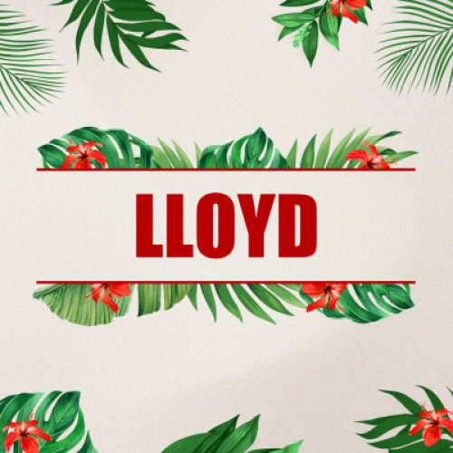 Lloyd - Flyer