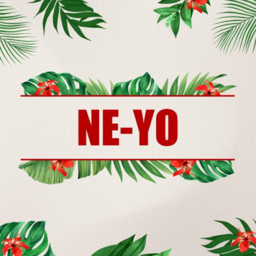 NE - YO - Flyer