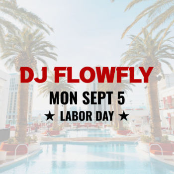 DJ FlowFly