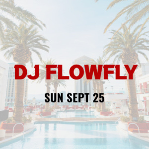 DJ Flowfly