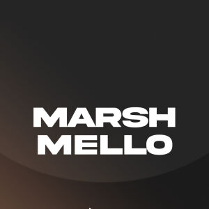 Flyer: Marshmello