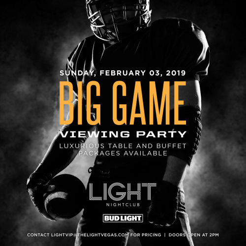 BIG GAME VIEWING PARTY - LIGHT