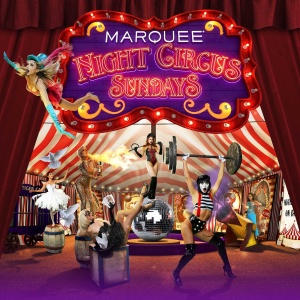 Flyer: Night Circus