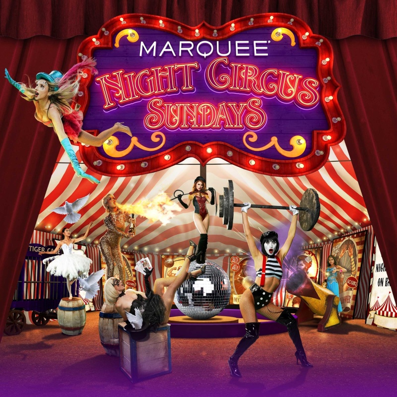 Night Circus at Marquee Nightclub thumbnail