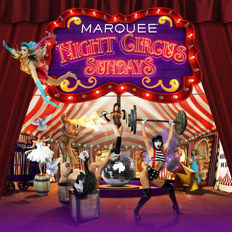 Angie Vee - Night Circus at Marquee Nightclub thumbnail