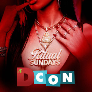Flyer: Official DesignerCon Closing Party with DJ Franzen