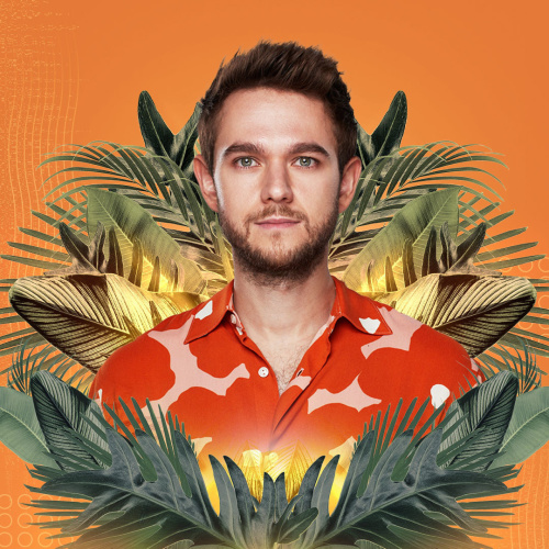 Flyer: Zedd