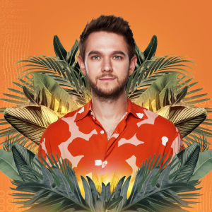 Flyer: Zedd