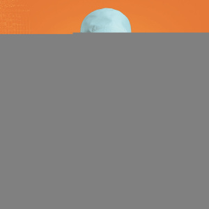 Flyer: Fisher
