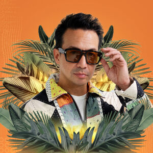 Flyer: Laidback Luke