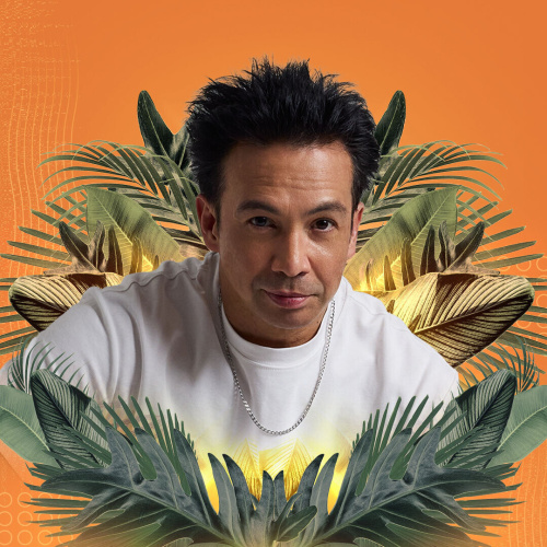Laidback Luke - Flyer