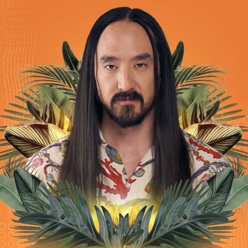 Steve Aoki - Flyer