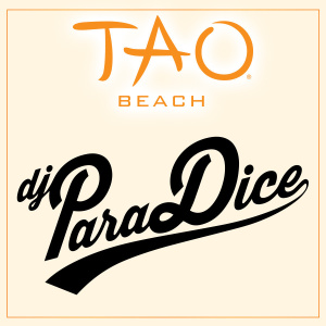 DJ PARADICE