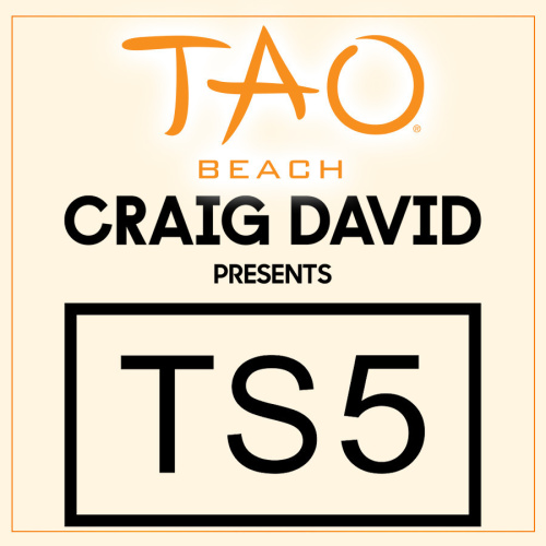 CRAIG DAVID PRESENTS TS5 - TAO Beach Club