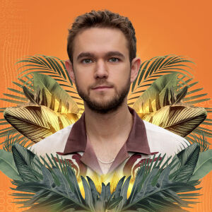 Flyer: Zedd