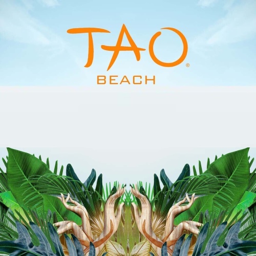 TAO Beach Friday - Flyer
