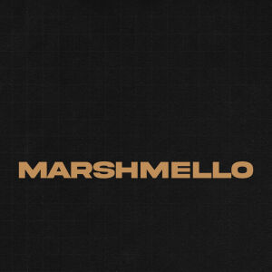 Flyer: Marshmello
