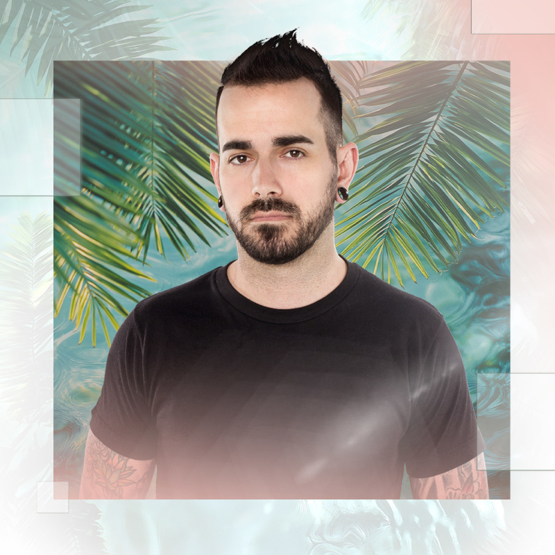 palmtreeclub
