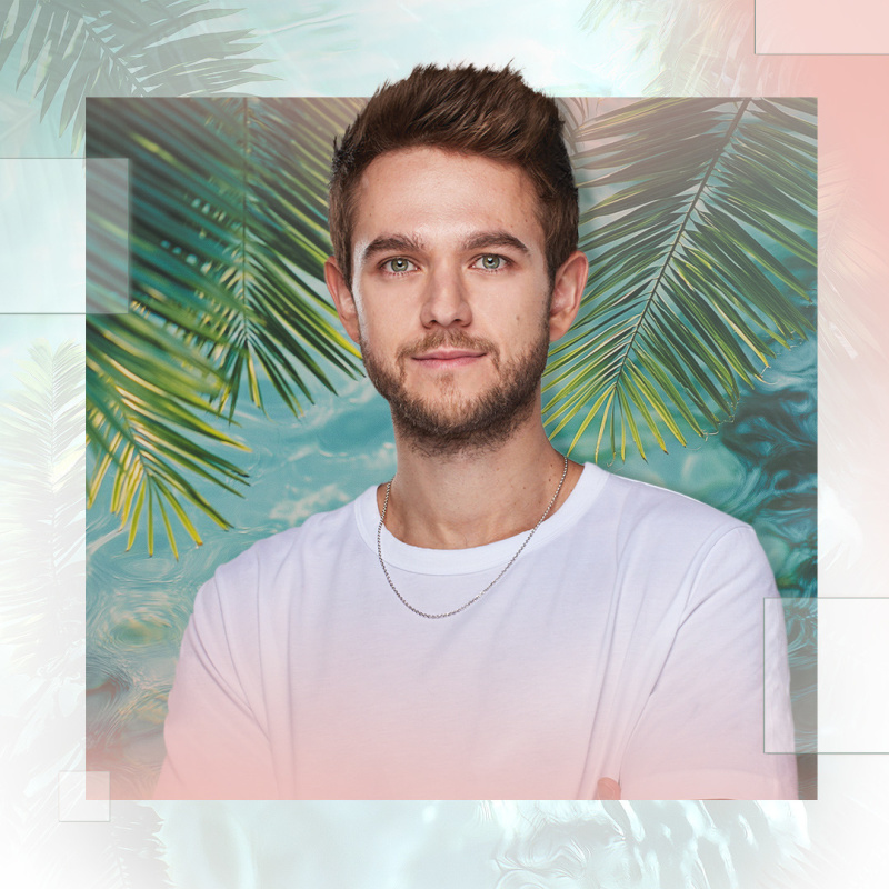 palmtreeclub