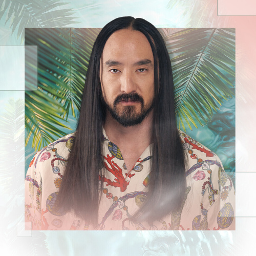 Steve Aoki - Flyer