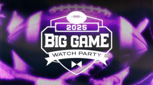 Big Game Viewing Party - Flyer