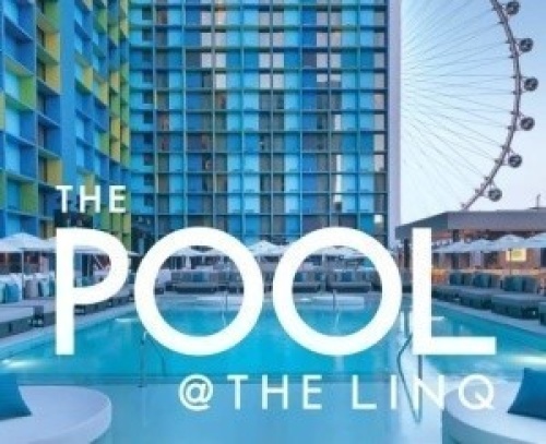 Influence Pool @ Linq - Flyer