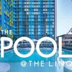 Flyer: Influence Pool @ Linq