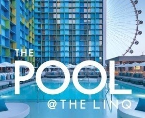 Flyer: Influence Pool @ Linq