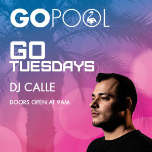 Flyer: Go Pool