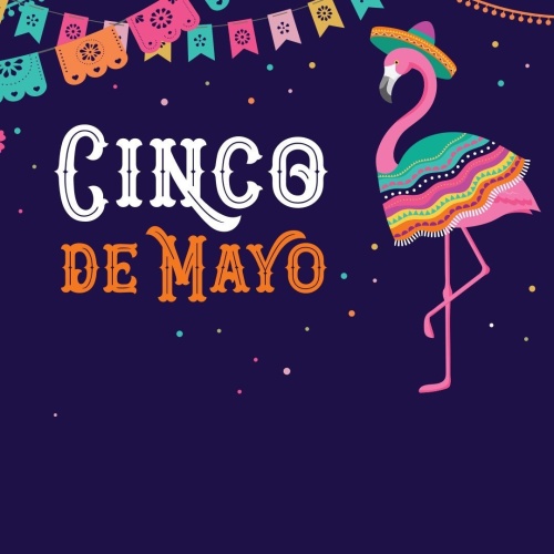 Cinco de Mayo at Flamingo Family Pool - Flyer